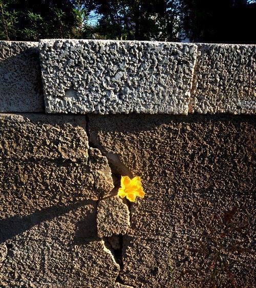 WIDRIGKEITEN IM LEBEN…