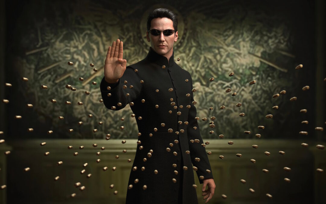 DIE DIREKTOREN DER MATRIX