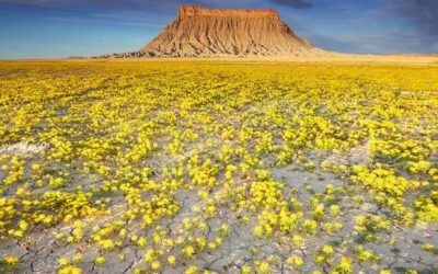 TROPFEN DER NÄCHSTENLIEBE