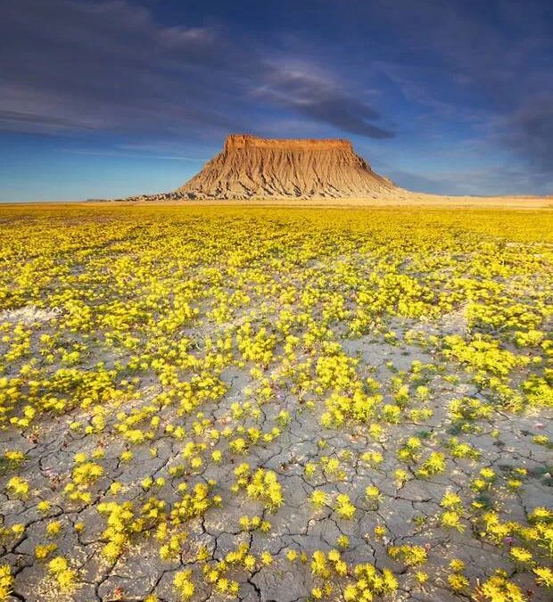 TROPFEN DER NÄCHSTENLIEBE