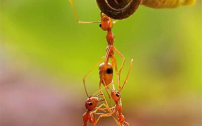 JEDER EINZELNE IST FÜR SEIN SCHICKSAL VERANTWORTLICH