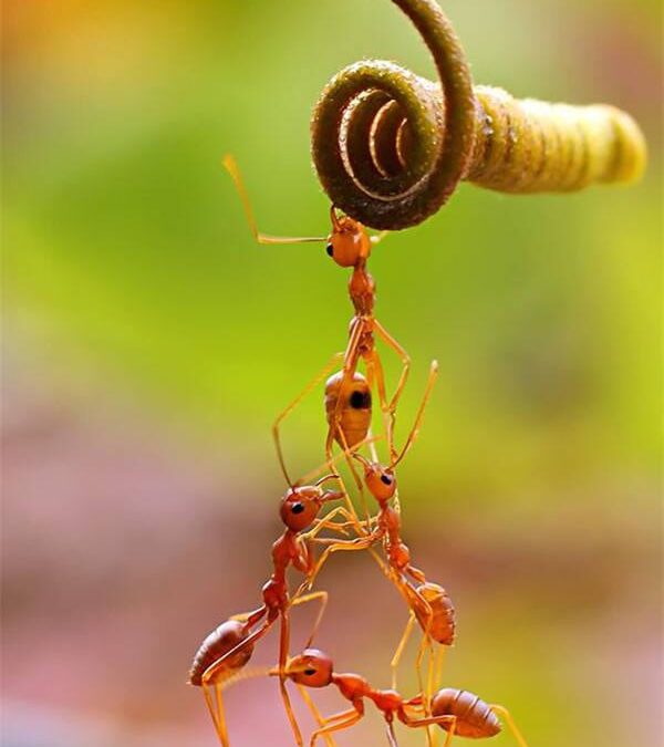 JEDER EINZELNE IST FÜR SEIN SCHICKSAL VERANTWORTLICH