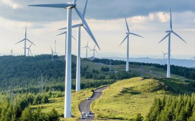 DER KAMPF GEGEN DIE WINDKRAFTANLAGEN ALS DEMONSTRATION DES LAUFENDEN GERICHTS IN DER PRAXIS