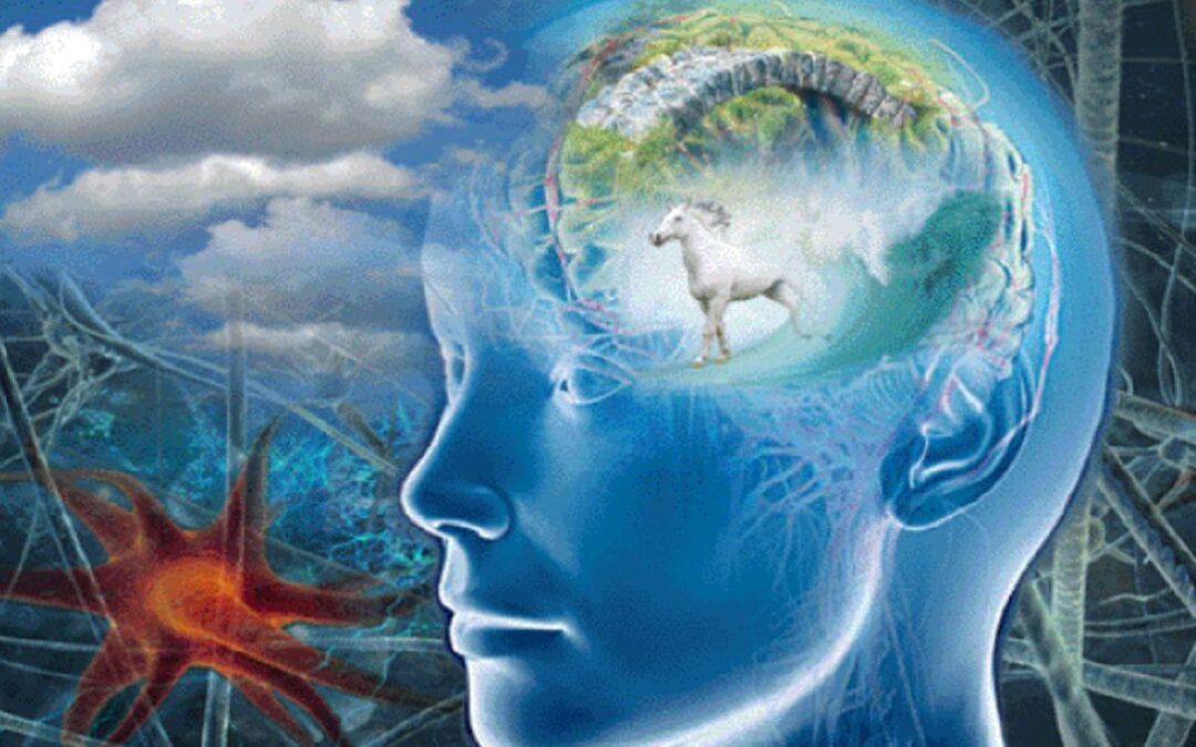 VERWANDLE DEINE VERGANGENHEIT DES LEBENS IN EINEN NEUANFANG