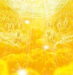 ANPASSUNG AN DAS LICHT