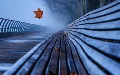 UNGELÖSTE BESCHWERDEN