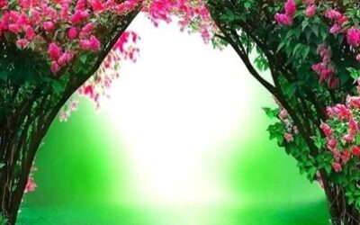 DAS TAUSENDJÄHRIGE REICH DES FRIEDENS NÄHERT SICH!