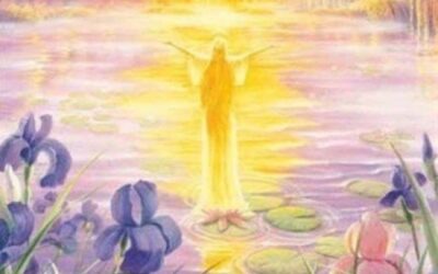 DER WERT DES GESCHENKES DAS LEBEN IN DER GEGENWÄRTIGEN ZEIT AUF ERDEN