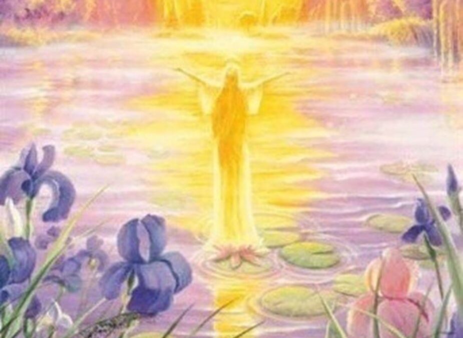 DER WERT DES GESCHENKES DAS LEBEN IN DER GEGENWÄRTIGEN ZEIT AUF ERDEN