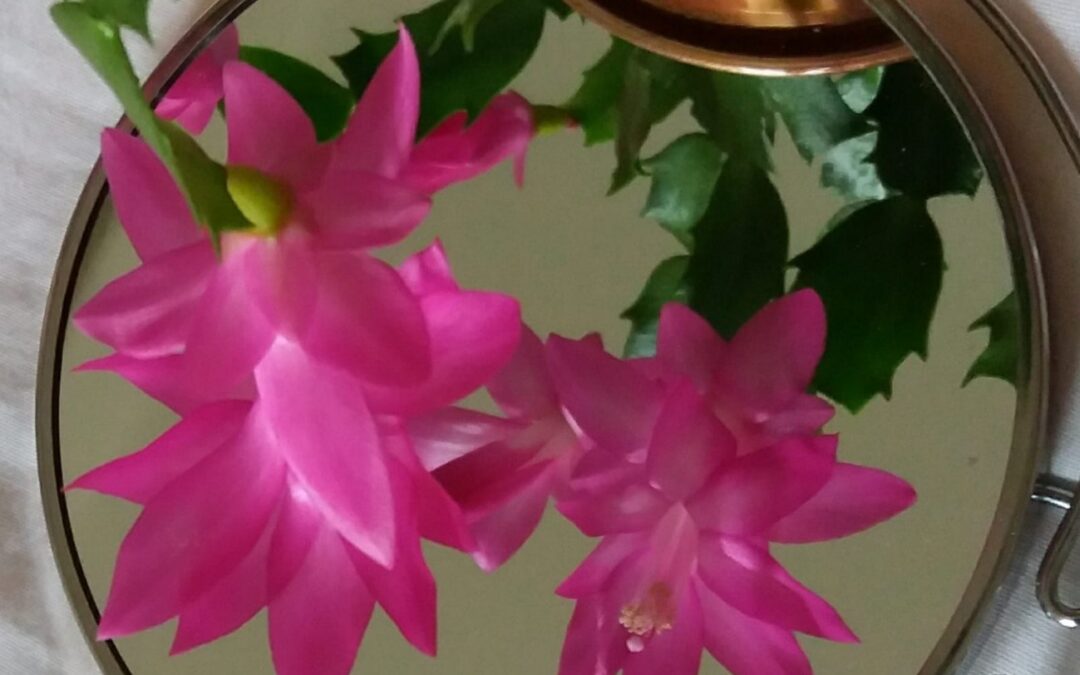 DIE VORTEILE DER ERKENNTNIS