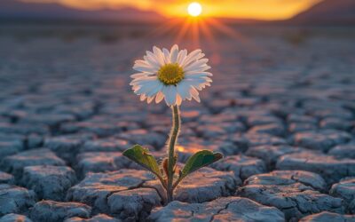 EIN EINZIGER GUTER SAME