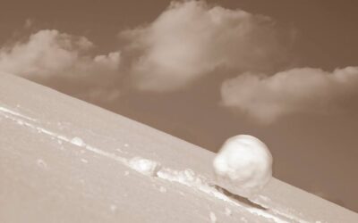 DER SCHNEEBALL VON NEUEM