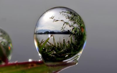 ANREIZE UND LKTIONEN