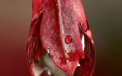 TROPFEN DER HOFFNUNG