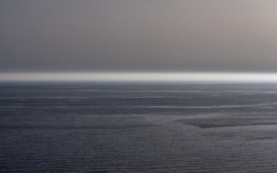 FEINDSELIGKEIT GEGENÜBER DEM GUTEN WILLEN