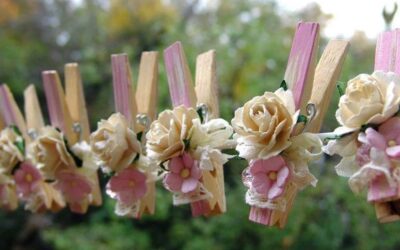 ANMUT, ZARTHEIT, INTUITION