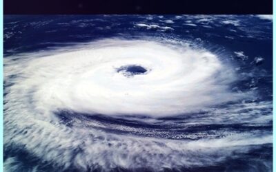 DIE WESEN SPRECHEN – LUFT UND WASSERWESEN TEIL II