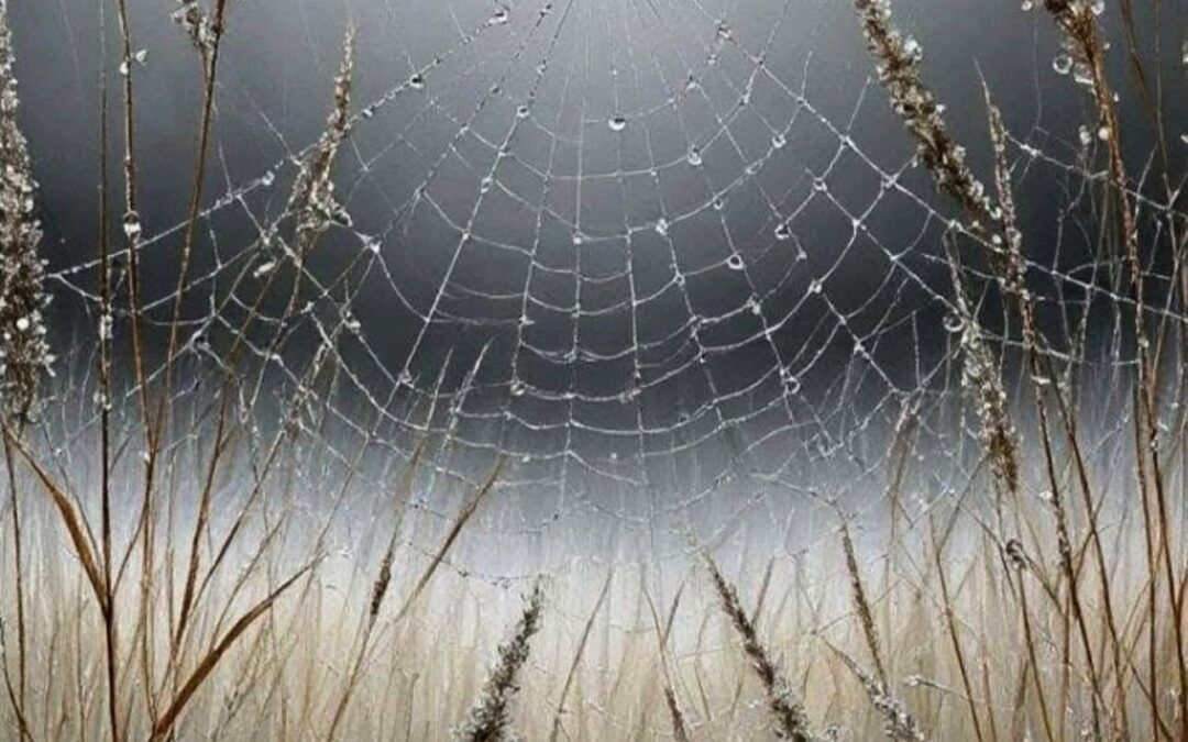 KREISE DER RUHE – VERGEBENDE MITMENSCHEN