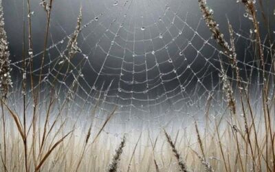 KREISE DER RUHE – VERGEBENDE MITMENSCHEN