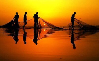 DAS GLEICHNIS VOM NETZ