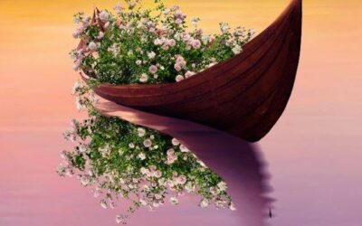 LICHTVERBUNDENE SEELE