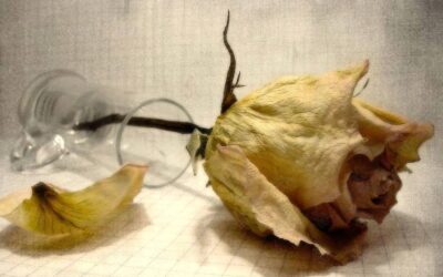 KONZEPT DER NÄCHSTENLIEBE