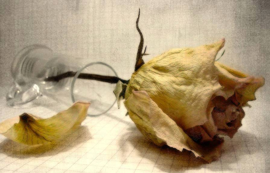 KONZEPT DER NÄCHSTENLIEBE