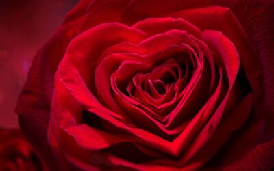 WOHLTÄTIGKEIT UND NÄCHSTENLIEBE