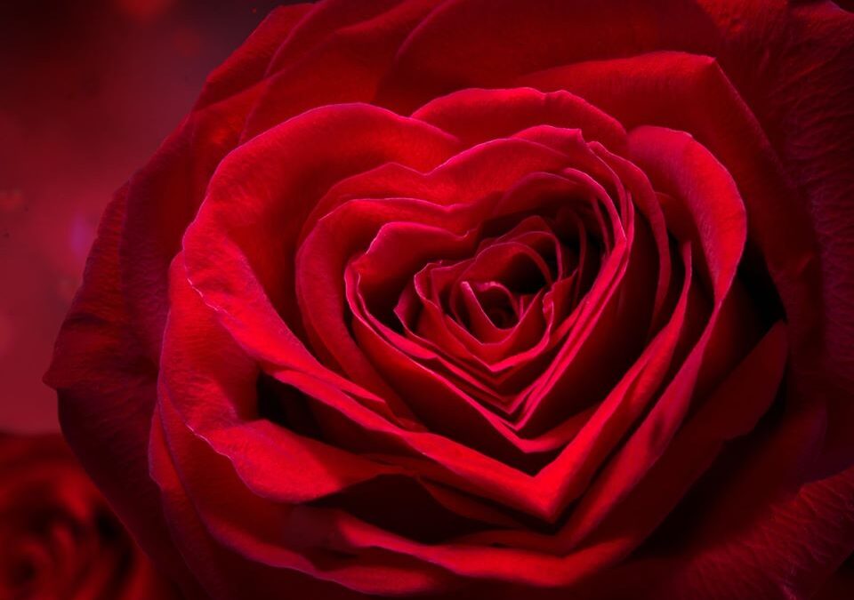 WOHLTÄTIGKEIT UND NÄCHSTENLIEBE