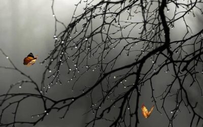 ALLGEMEIN SCHWERWIEGENDE SITUATION