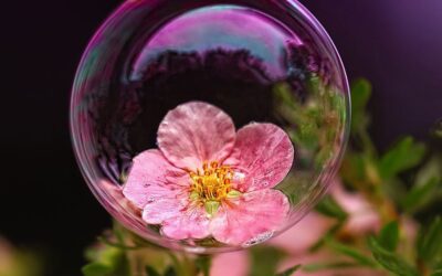 DIE DOPPELTE WIRKUNG DES GUTEN WILLENS