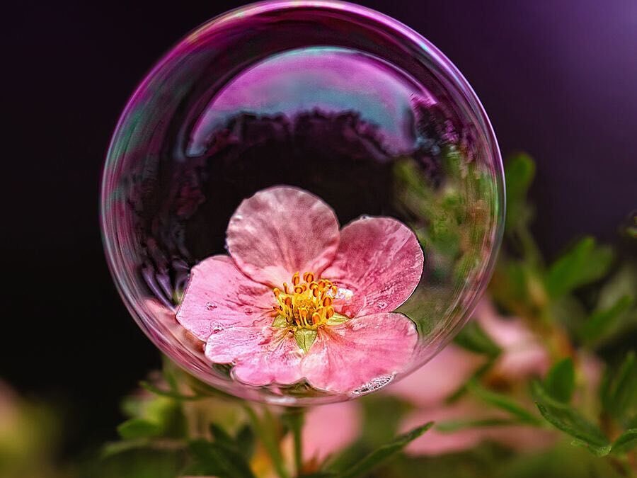 DIE DOPPELTE WIRKUNG DES GUTEN WILLENS