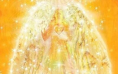 NUR WAS IN SICH SELBST REIN IST, WIRD BESTAND HABEN