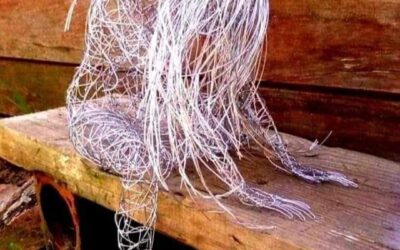 KAMPF IST VORTSCHRITT