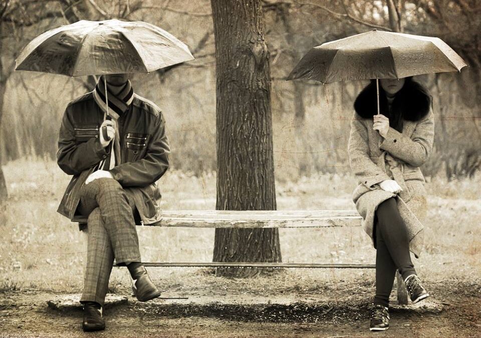 AUF DER SUCHE NACH UNSEREM SEELENVERWANDTEN