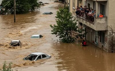 DIE GANZE WAHRHEIT ÜBER DEN KLIMAWANDEL UND WIE WIR IHN VERBESSERN KÖNNEN