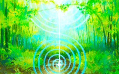 DAS HEILEN DER WELTENSEELE