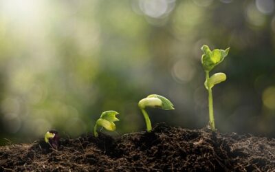 ERFOLG DES GEISTIGEN UNTERFANGENS