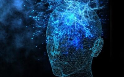 MOMENTANE LEERE DES BESTEHENDEN WISSENS