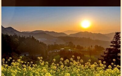 Die Wesen sprechen – Teil III Wesen des Waldes, der Blumen, der Tierhüter und die Riesen