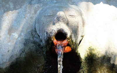 WASSER MIT AUSSERGEWÖHNLICHEN EIGENSCHAFTEN