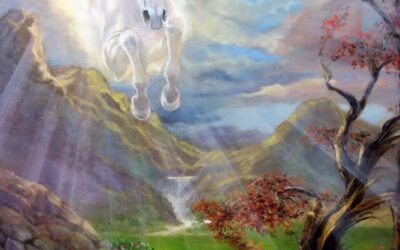 DER ALLWEISHEIT IN DER SCHÖPFUNG HELFEN MÖCHTEN