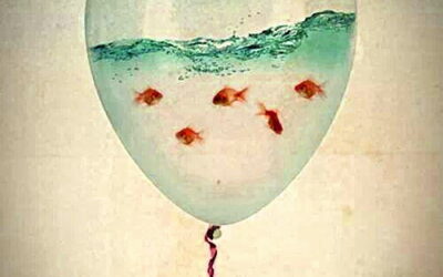 SCHEINBARE STABILITÄT