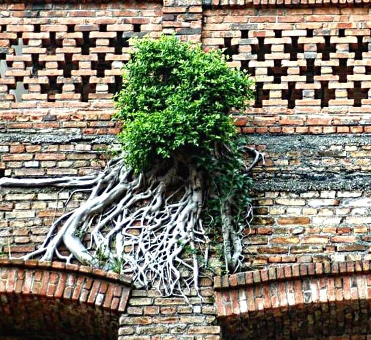 GEISTIGE WEITERENTWICKLUNG