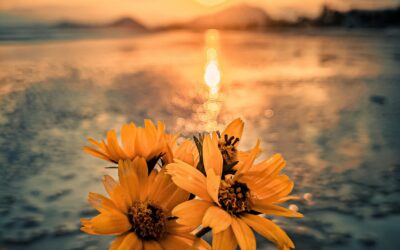 UNSER TREUER FREUND UND HELFER