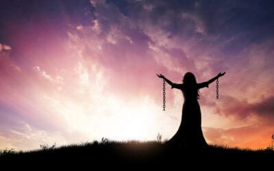 DIE WIEDEREROBERTE FREIHEIT