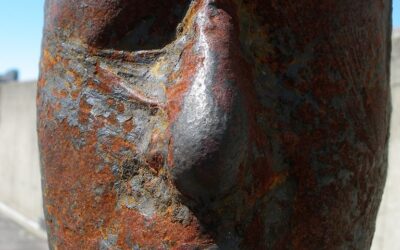 DER SCHRECK DER ERSTARRUNG