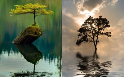 UNGÜNSTIGE UMSTÄNDE