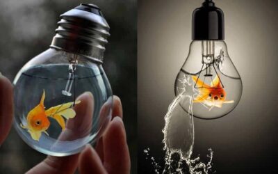 REIFEN DURCH VIELFÄLTIGE ERFAHRUNGEN