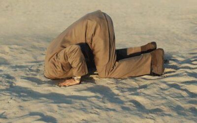 VERHALTEN DES VOGEL STRAUSSES